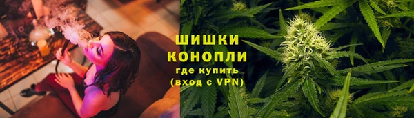 PSILOCYBIN Богданович