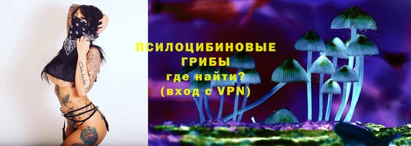 PSILOCYBIN Богданович